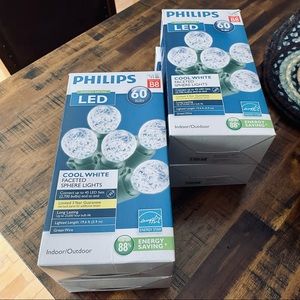 Philips indoor outdoor cool white Christmas lights